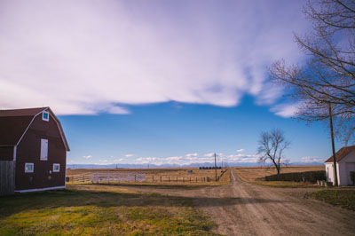 Calico Farms