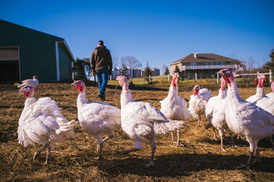 Klein Farm