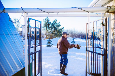 Fireside Winery and Market Garden