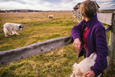 Kettle Crossing Farm
