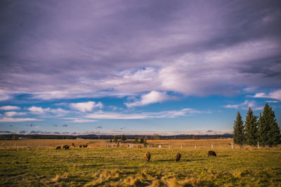 Kettle Crossing Farm
