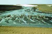Water erosion removes topsoil, reducing soil quality.