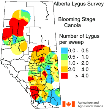 Figure 5. Density of lygus bugs in canola at late bloom stage, Data shown are from 189 fields sampled during July 1998