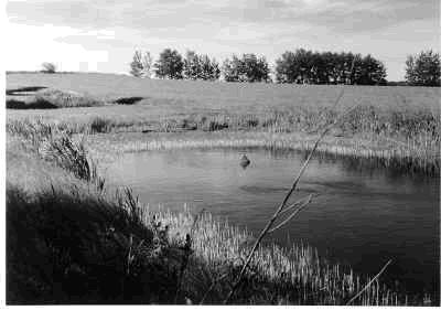 Figure 1. Water is essential