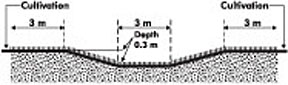 Figure 1. Cross-section of a typical grassed waterway