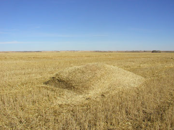 Figure 1. Chaff pile