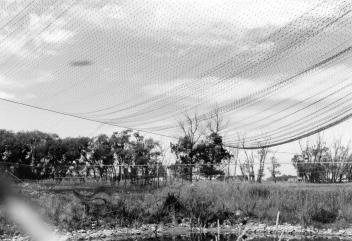 Figure 1. Partially covered system using overhanging net