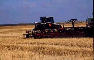 Modern equipment allows seeding into standing stubble. 