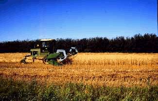 Control wind erosion with a crop residue cover and shelterbelts.