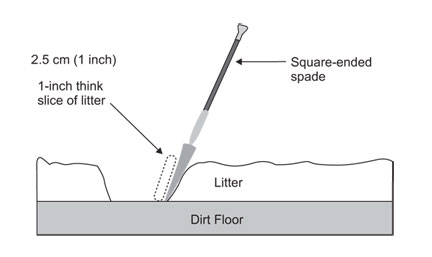 Figure 3. Sub-sampling using the point method