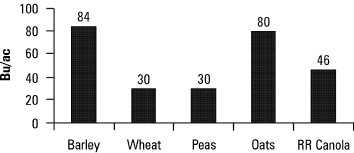 Yields of several annual crops direct-seeded into tall fescue at Falher, Alberta, 2004.