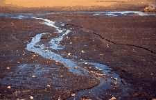 Fallow fields with no residue cover are very erosion prone.
