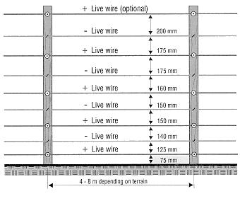 Figure 1. Nine-wire fence, viewed from inside the fence .