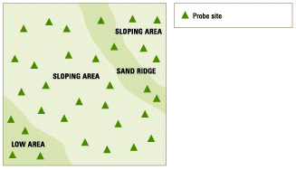 Whole field composite sampling